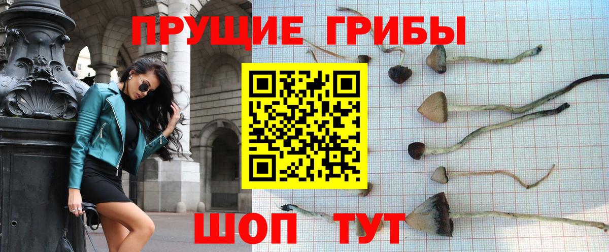 Галлюциногенные грибы Cubensis Верхняя Салда