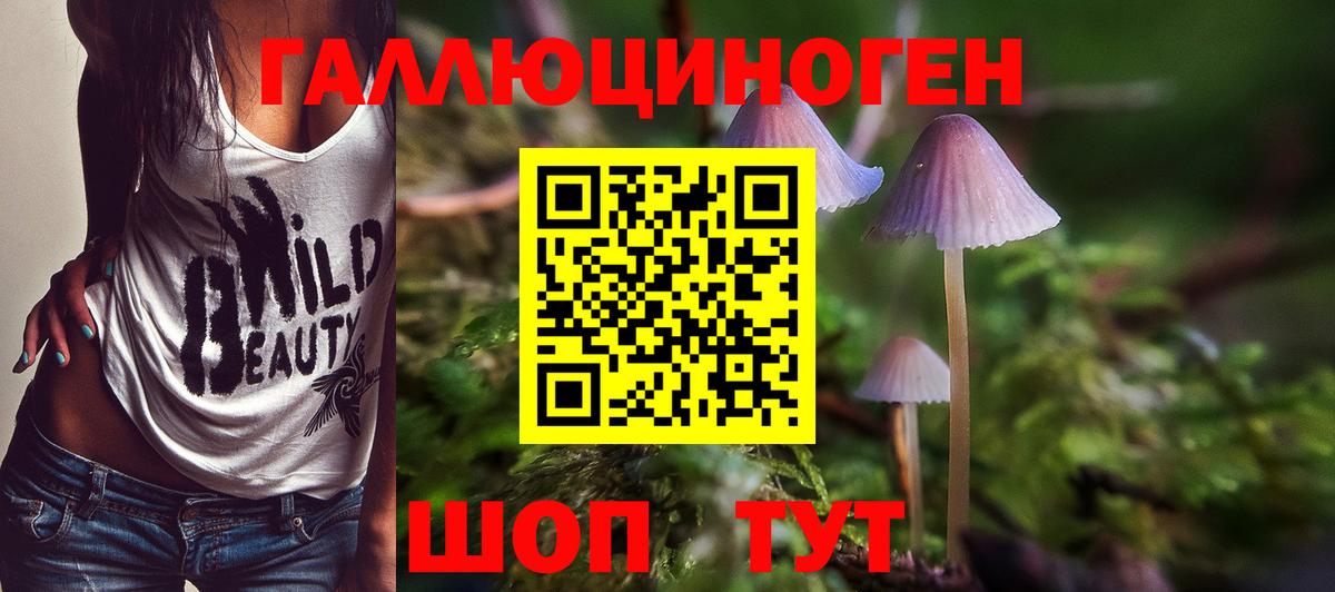 Галлюциногенные грибы мицелий  Галлюциногенные грибы Psilocybine cubensis  Вход с VPN  Верхняя Салда 