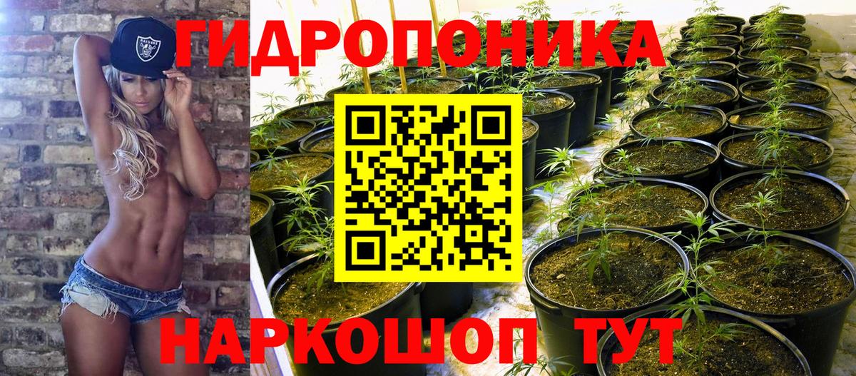 Канабис Amnesia  Вход с VPN  Верхняя Салда  Бошки марихуана сатива  МАРИХУАНА тримм 